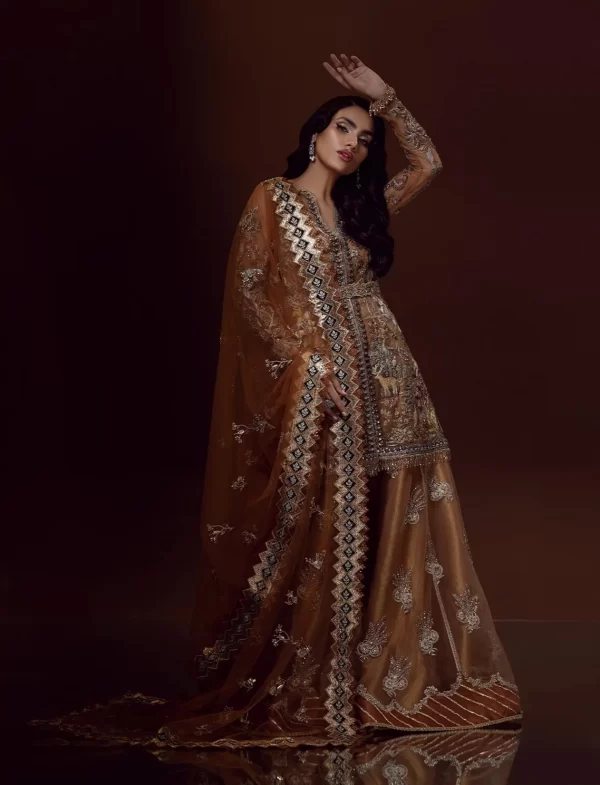 Royal Pakistani Bridal Jacket Sharara Dupatta Dress